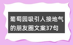 葡萄園吸引人接地氣的朋友圈文案37句