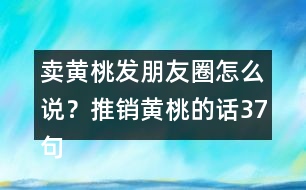 賣黃桃發(fā)朋友圈怎么說？推銷黃桃的話37句