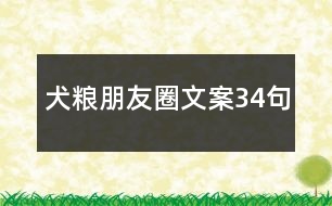 犬糧朋友圈文案34句