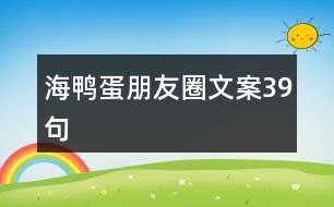 海鴨蛋朋友圈文案39句