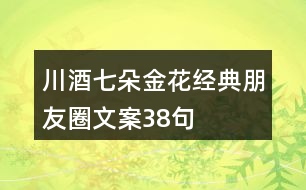 川酒七朵金花經典朋友圈文案38句