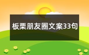 板栗朋友圈文案33句