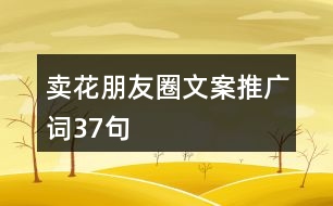 賣花朋友圈文案、推廣詞37句