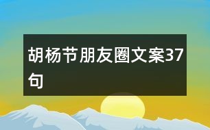 胡楊節(jié)朋友圈文案37句