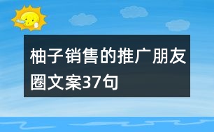 柚子銷(xiāo)售的推廣朋友圈文案37句