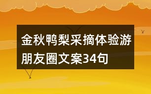 金秋鴨梨采摘體驗游朋友圈文案34句