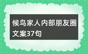 候鳥(niǎo)家人內(nèi)部朋友圈文案37句