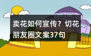 賣(mài)花如何宣傳？切花朋友圈文案37句