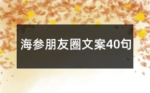 海參朋友圈文案40句