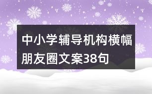 中小學(xué)輔導(dǎo)機構(gòu)橫幅朋友圈文案38句