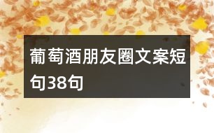 葡萄酒朋友圈文案短句38句