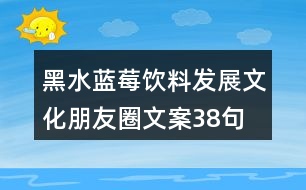 黑水藍莓飲料發(fā)展文化朋友圈文案38句