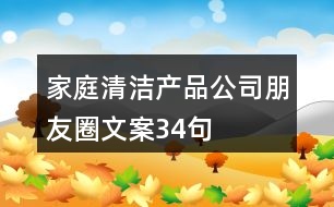 家庭清潔產(chǎn)品公司朋友圈文案34句