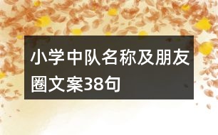 小學中隊名稱及朋友圈文案38句