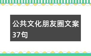 公共文化朋友圈文案37句