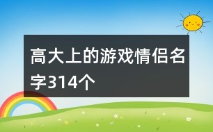 高大上的游戲情侶名字314個