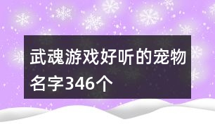 武魂游戲好聽的寵物名字346個