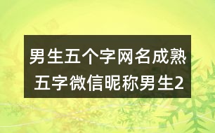 男生五個(gè)字網(wǎng)名成熟 五字微信昵稱男生286個(gè)