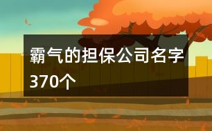 霸氣的擔(dān)保公司名字370個(gè)