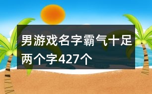 男游戲名字霸氣十足兩個字427個