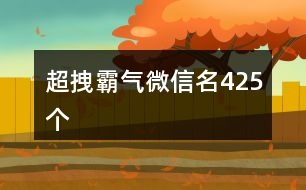 超拽霸氣微信名425個