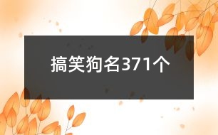 搞笑狗名371個