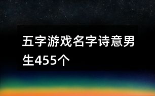 五字游戲名字詩意男生455個(gè)