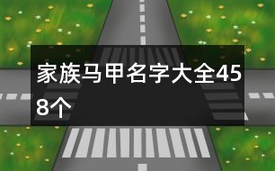 家族馬甲名字大全458個