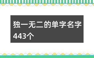 獨(dú)一無二的單字名字443個(gè)