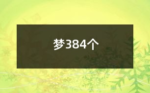 夢384個(gè)