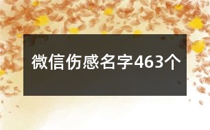 微信傷感名字463個