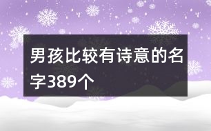 男孩比較有詩意的名字389個