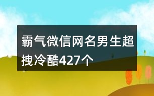 霸氣微信網(wǎng)名男生超拽冷酷427個(gè)