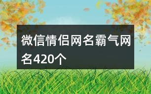 微信情侶網(wǎng)名霸氣網(wǎng)名420個