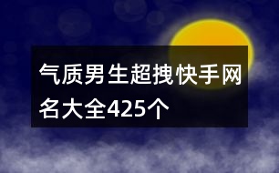 氣質男生超拽快手網名大全425個