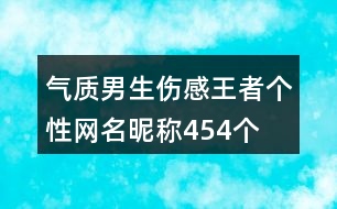 氣質(zhì)男生傷感王者個性網(wǎng)名昵稱454個