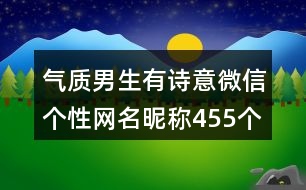 氣質(zhì)男生有詩意微信個性網(wǎng)名昵稱455個