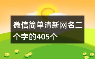 微信簡單清新網(wǎng)名二個字的405個