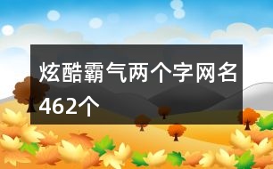 炫酷霸氣兩個字網名462個