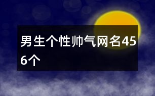 男生個(gè)性帥氣網(wǎng)名456個(gè)