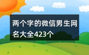 兩個字的微信男生網(wǎng)名大全423個