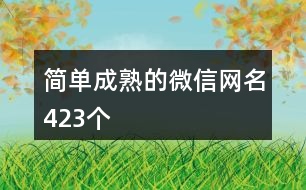 簡單成熟的微信網名423個