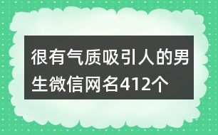 很有氣質(zhì)吸引人的男生微信網(wǎng)名412個(gè)