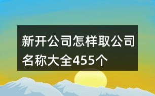 新開公司怎樣取公司名稱大全455個(gè)