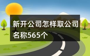 新開公司怎樣取公司名稱565個(gè)