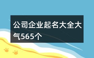 公司企業(yè)起名大全大氣565個(gè)