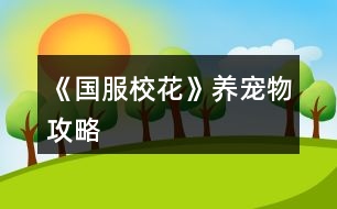 《國(guó)服?；ā佛B(yǎng)寵物攻略