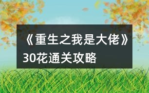 《重生之我是大佬》30花通關攻略