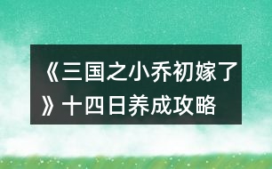 《三國(guó)之小喬初嫁了》十四日養(yǎng)成攻略