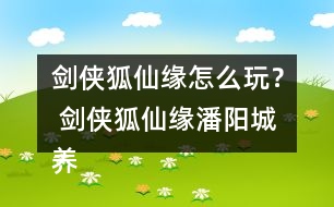 劍俠狐仙緣怎么玩？ 劍俠狐仙緣潘陽(yáng)城養(yǎng)成攻略